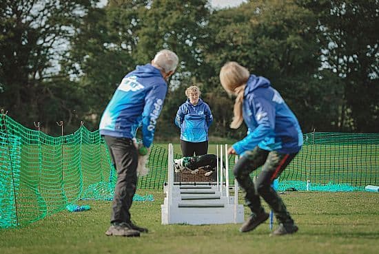 Flyball In The Lane