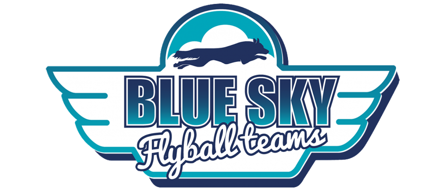 Blue Sky Flyball Team Logo